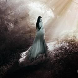 Solitude  Chords by Evanescence
