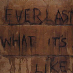 What Its Like Tabs by Everlast