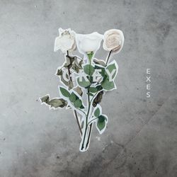 Grey Chords by Exes