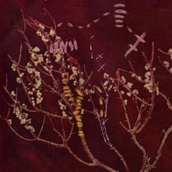 No Ocean Chords by Exes