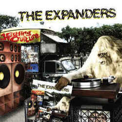 Piece Of Love Chords by The Expanders