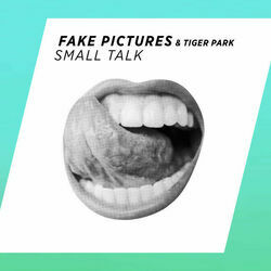 Small Talk by Fake Pictures