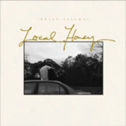 You Have Stolen My Heart Chords by Brian Fallon