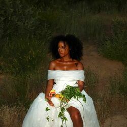 Desert Flower Ukulele Chords by Fana Hues