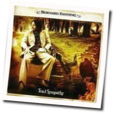 Songbird Chords by Bernard Fanning