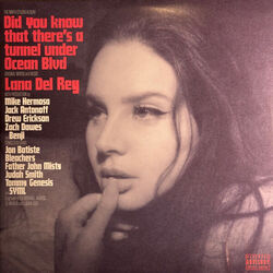 Let The Light In (feat. Lana Del Rey) Chords by Father John Misty