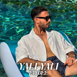 Faydee chords for Yali yali