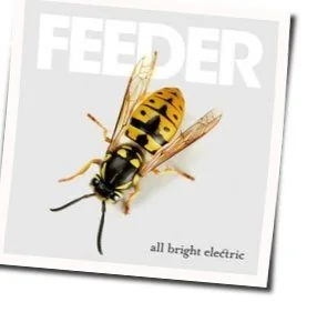 Universe Of Life Tab by Feeder