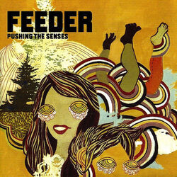 Pushing The Senses Bass tabs by Feeder