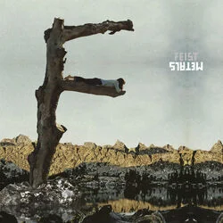 Pine Moon Chords by Feist