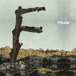 Pine Moon Chords by Feist