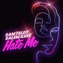 Hate Me Chords by Sam Feldt