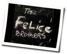 Run Chicken Run Chords by The Felice Brothers