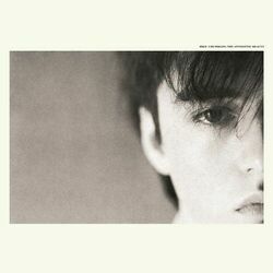 Fortune Chords by Felt