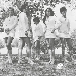 Tying The Leaves Chords by Female Species