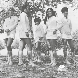 Tying The Leaves Chords by Female Species