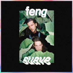 Honey There's No Time Bass tabs by Feng Suave