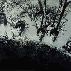 Steve Lenore Chords by Fever Tree