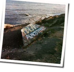 Good Times Are Over Tab by FIDLAR