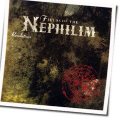 Last Exit For The Lost Live Chords by Fields Of The Nephilim