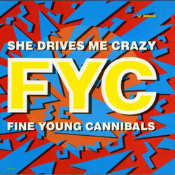 She Drives Me Crazy by Fine Young Cannibals