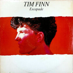 Wait And See Chords by Tim Finn