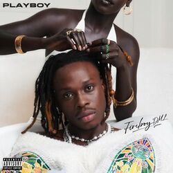 Playboy Chords by Fireboy DML