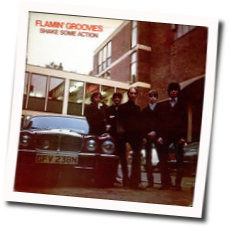 Shake Some Action Chords by Flamin Groovies