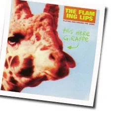 This Here Giraffe Bass Tab by The Flaming Lips