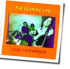 Evil Will Prevail Chords by The Flaming Lips