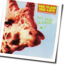 This Here Giraffe Tab by The Flaming Lips