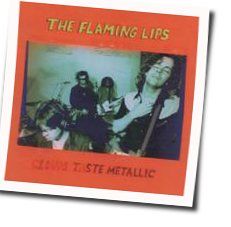 When Yer Twenty Two Chords by The Flaming Lips