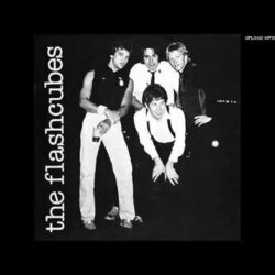 It's You Tonight Chords by The Flashcubes