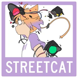 Streetcat by Flavor Foley