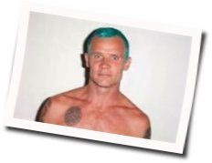 Helen Burns Chords by Flea
