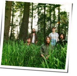 Tiger Mountain Peasant Song Chords by Fleet Foxes