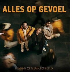Alles Op Gevoel Chords by FLEMMING