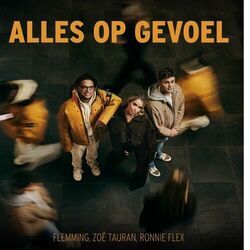 Alles Op Gevoel by Flemming