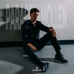 Paracetamollen by Flemming