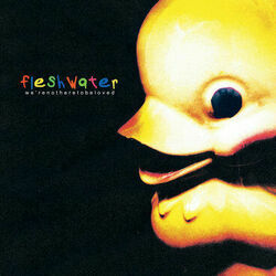 Baldpate Driver Tab by Fleshwater