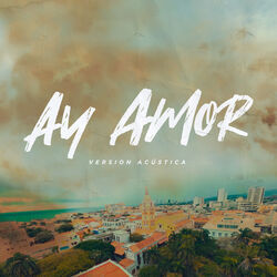 Ay Amor Chords by Flex