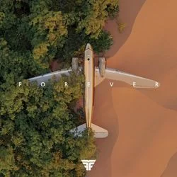 What I Want Chords by Flight Facilities
