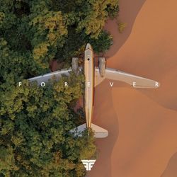 What I Want Chords by Flight Facilities