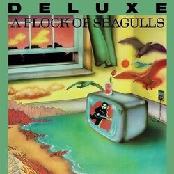 Don't Ask Me Bass Tab by A Flock Of Seagulls