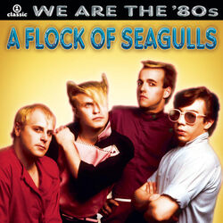 You Can Run Bass Tab by A Flock Of Seagulls