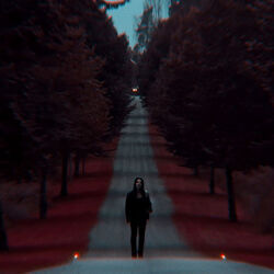 Holy Water Chords by Flora Cash