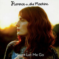 Never Let Me Go Chords by Florence + The Machine