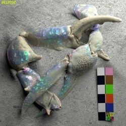 Let You Know Chords by Flume