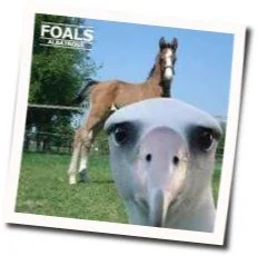 Albatross Tab by Foals