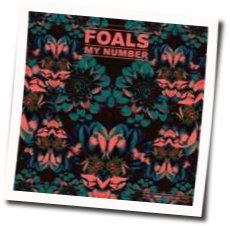 Bluebird Tabs by Foals